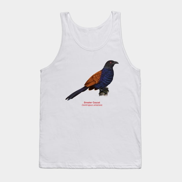 Greater Coucal | Centropus sinensis Tank Top by bona 